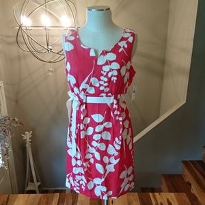 New Robbie Bee Size 12 Coral & Ivory Cotton Dress